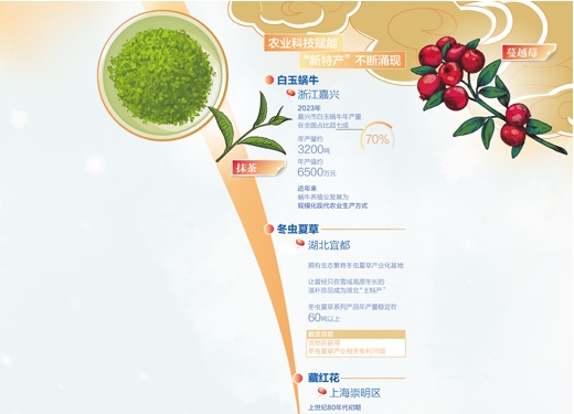 土特产的“含金量”越来越高